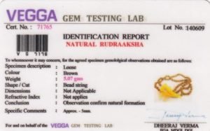 Natural Rudraksha Certificate