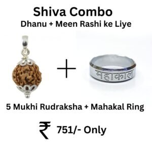 Shiva Combo For Dhanu Meen